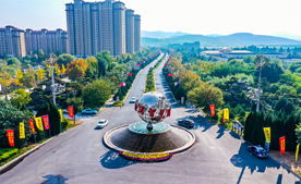 力(li)諾集(ji)團(tuán)簡介